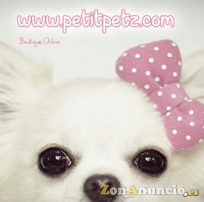 Abrigo impermeable para perros pequeños toy miniatura